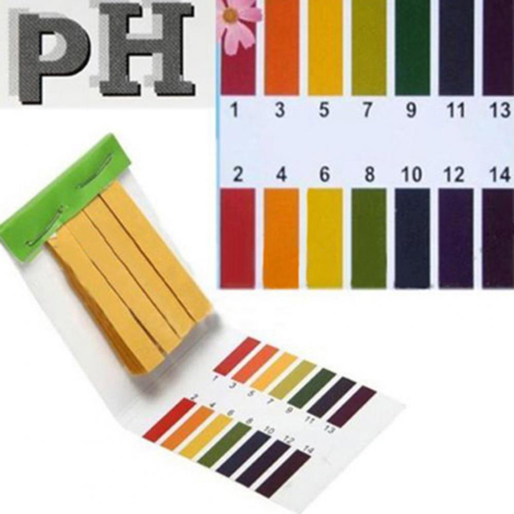 PH 레벨 테스트 종이 스트립 명확한 숫자 표시로 균형 - Ph Strip Test 리뷰 및 가격