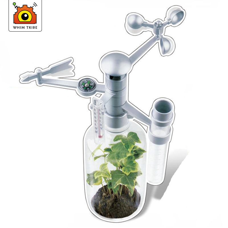 DIY ToySet 지능 과학 기상 관측소 지식 과학  - Science Nature 리뷰 및 가격
