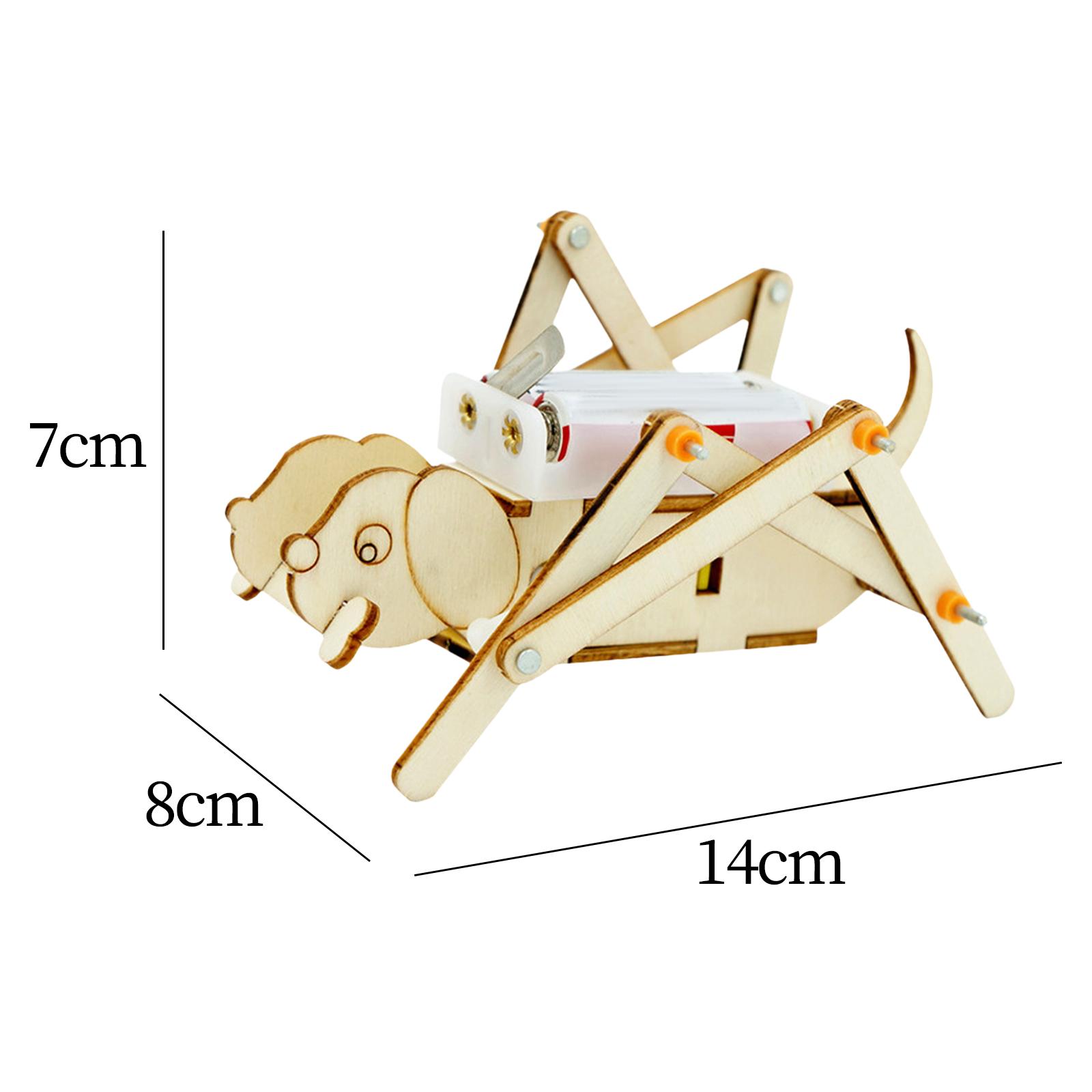 DIY 나무 모형 세트 과학 키트, 기계식 개 만들기, - Science Project Toys Making 리뷰 및 가격
