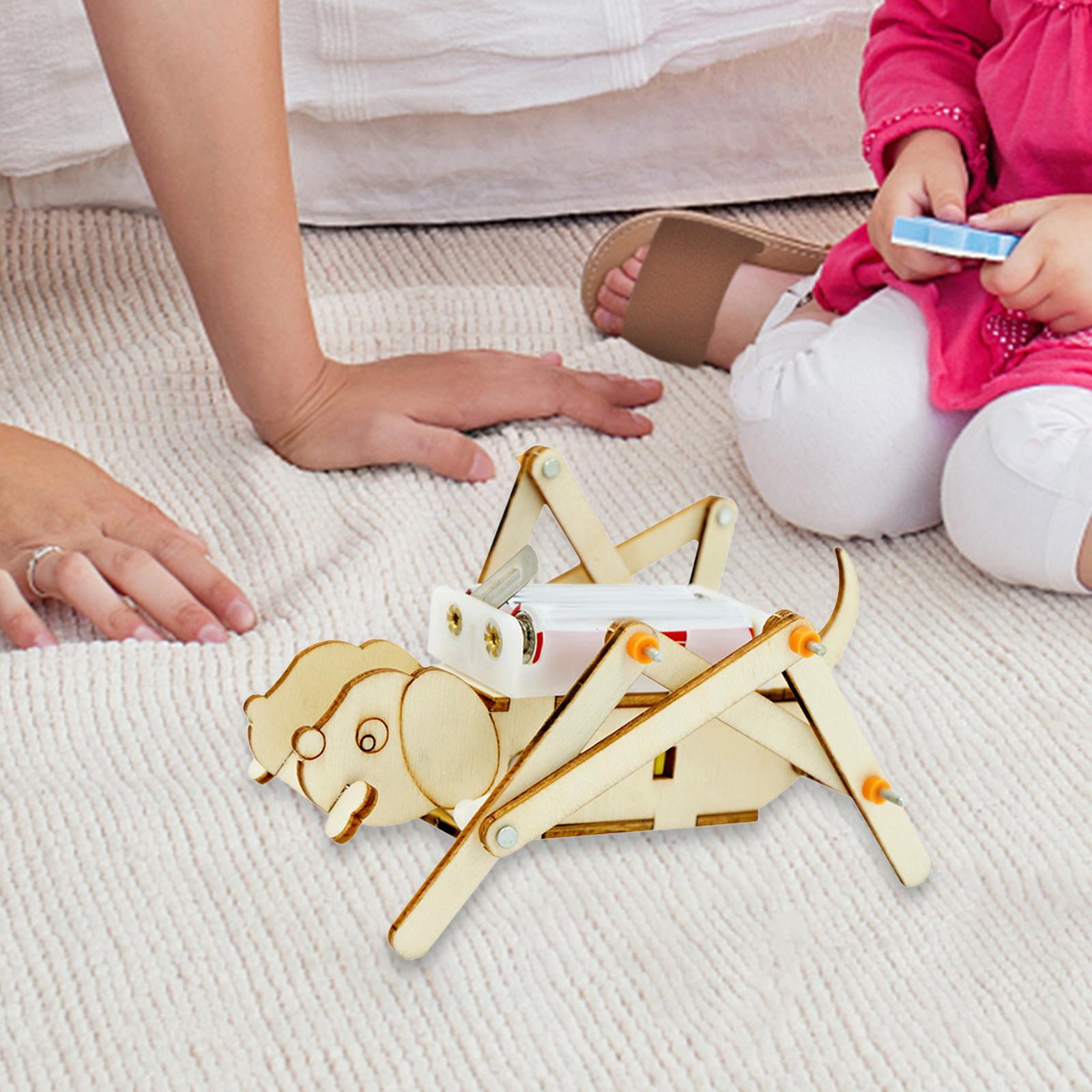 DIY 나무 모형 세트 과학 키트, 기계식 개 만들기, - Science Project Toys Making 리뷰 및 가격